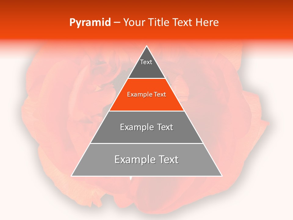 A Large Orange Flower With A White Background PowerPoint Template