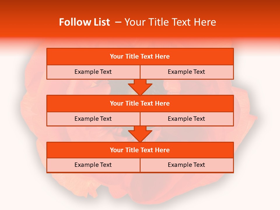 A Large Orange Flower With A White Background PowerPoint Template