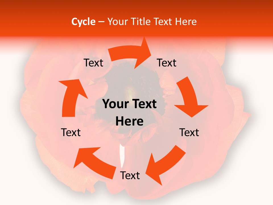A Large Orange Flower With A White Background PowerPoint Template