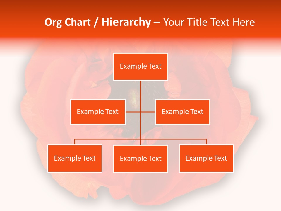 A Large Orange Flower With A White Background PowerPoint Template