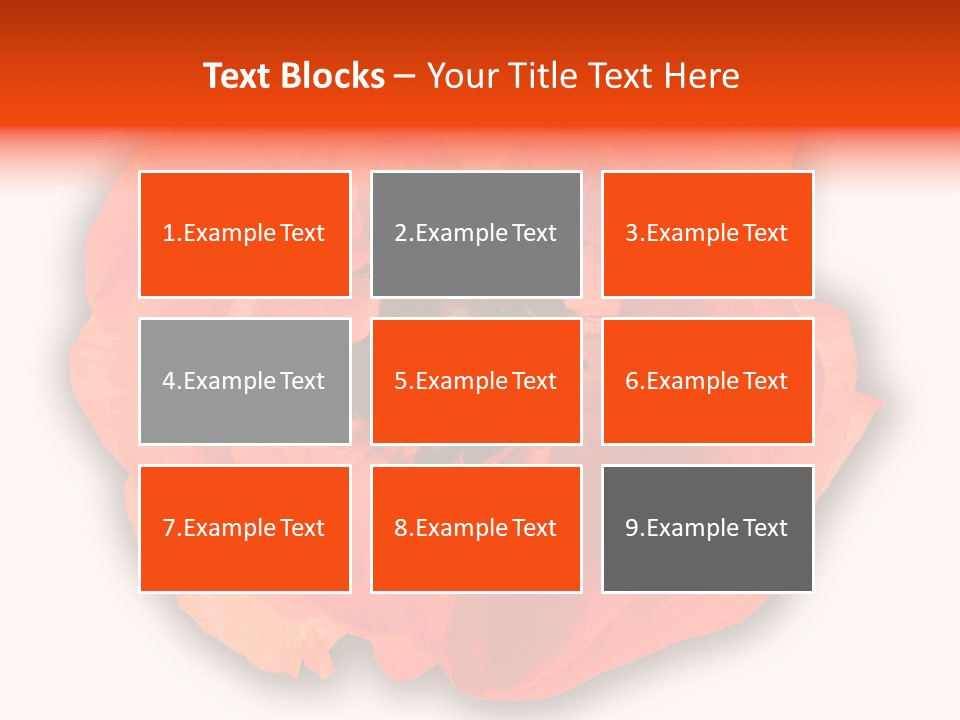 A Large Orange Flower With A White Background PowerPoint Template