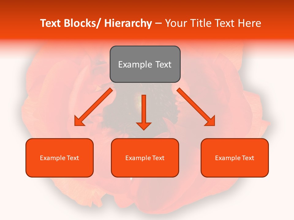 A Large Orange Flower With A White Background PowerPoint Template