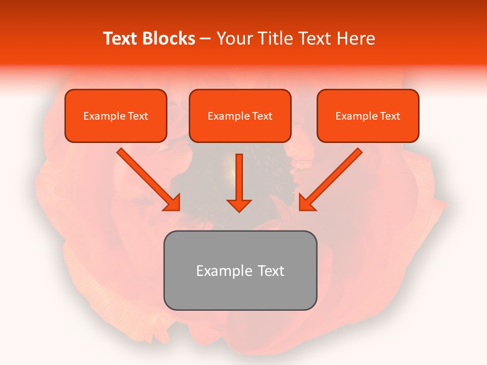 A Large Orange Flower With A White Background PowerPoint Template