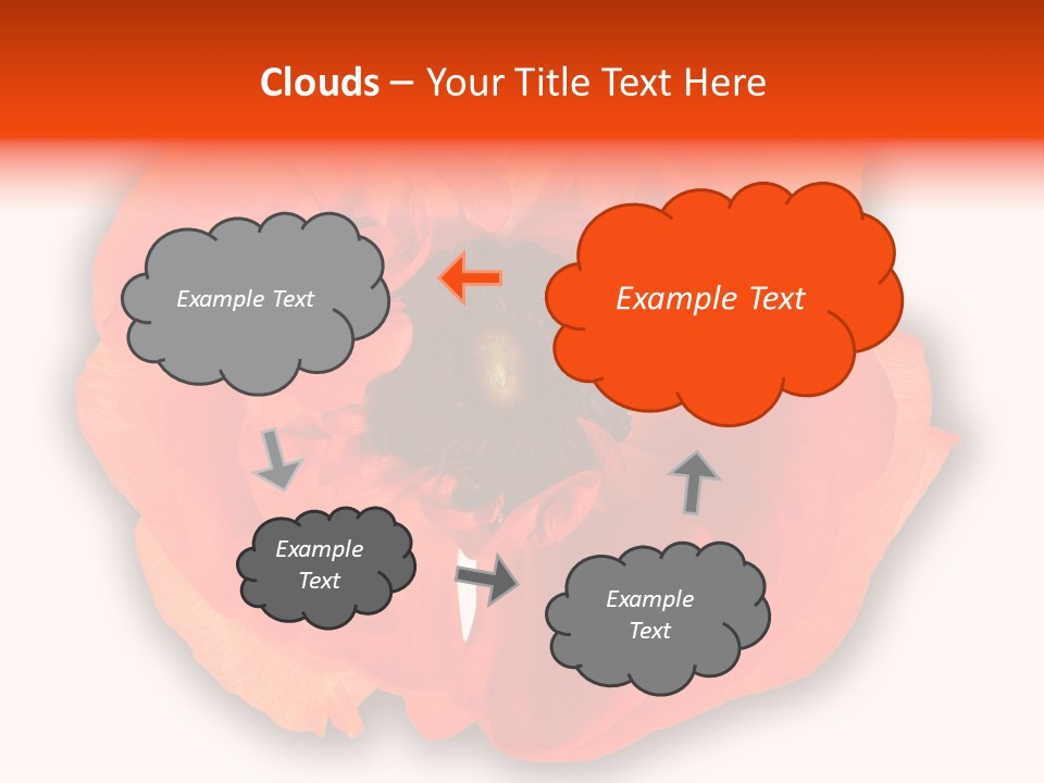 A Large Orange Flower With A White Background PowerPoint Template