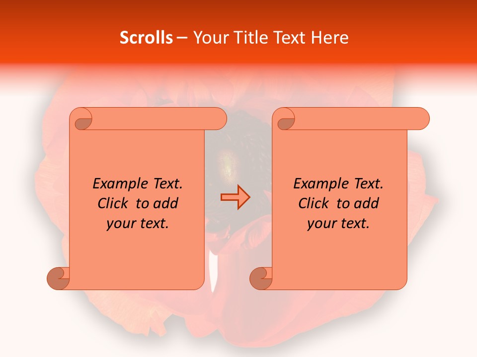 A Large Orange Flower With A White Background PowerPoint Template