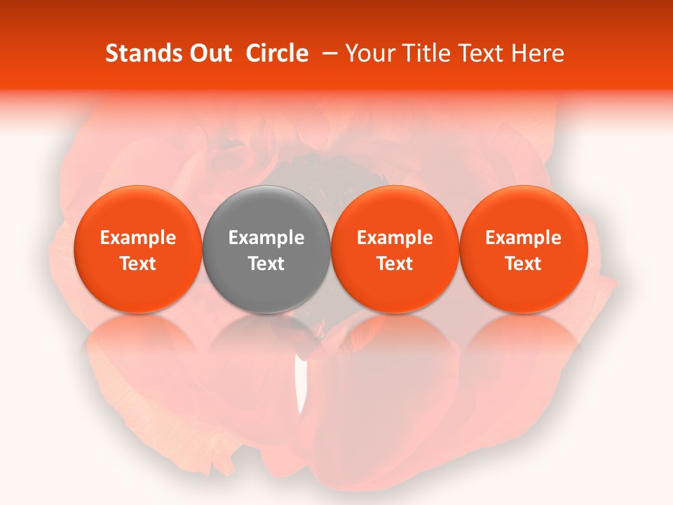 A Large Orange Flower With A White Background PowerPoint Template