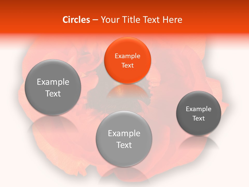 A Large Orange Flower With A White Background PowerPoint Template