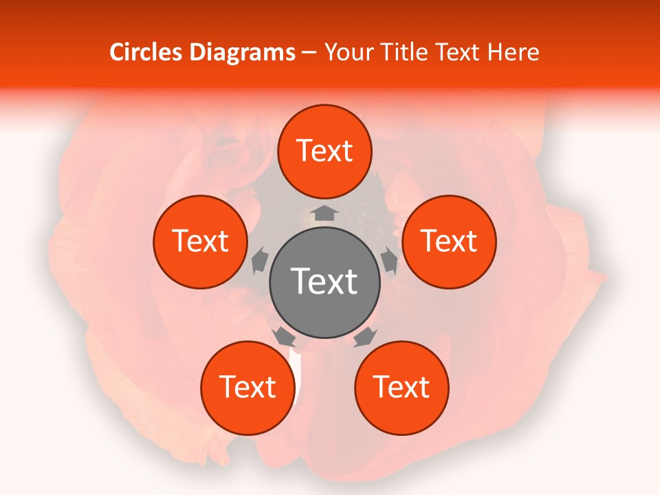 A Large Orange Flower With A White Background PowerPoint Template