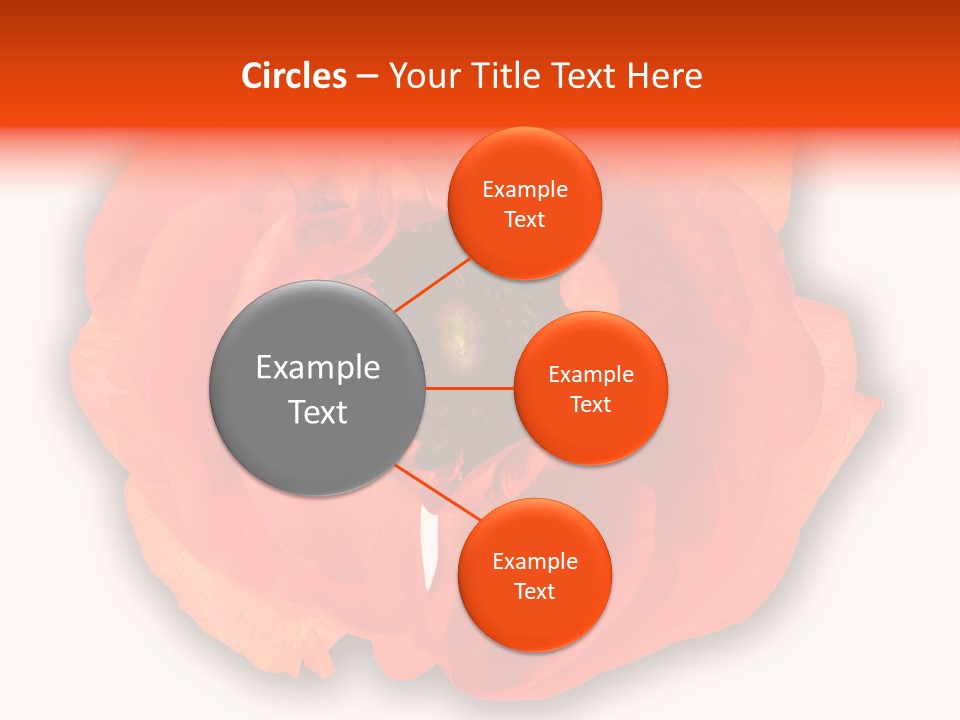 A Large Orange Flower With A White Background PowerPoint Template
