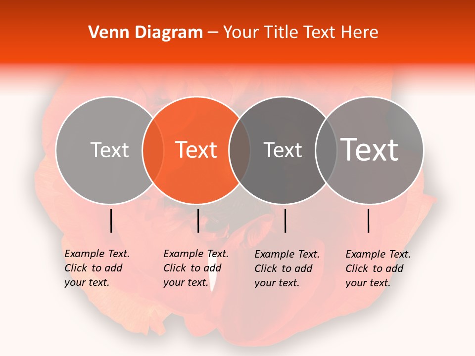 A Large Orange Flower With A White Background PowerPoint Template