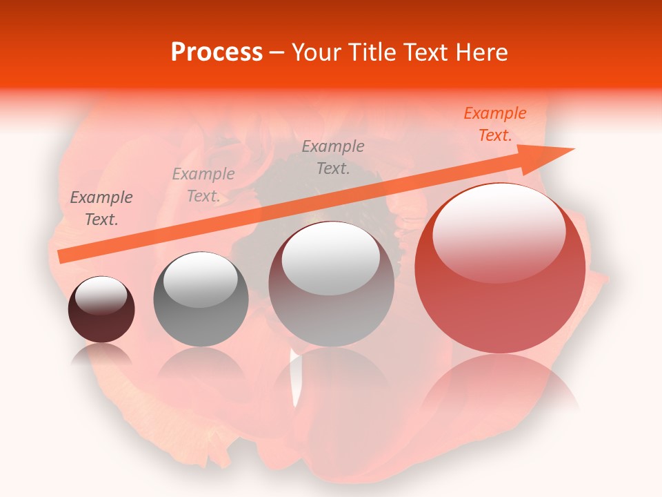 A Large Orange Flower With A White Background PowerPoint Template