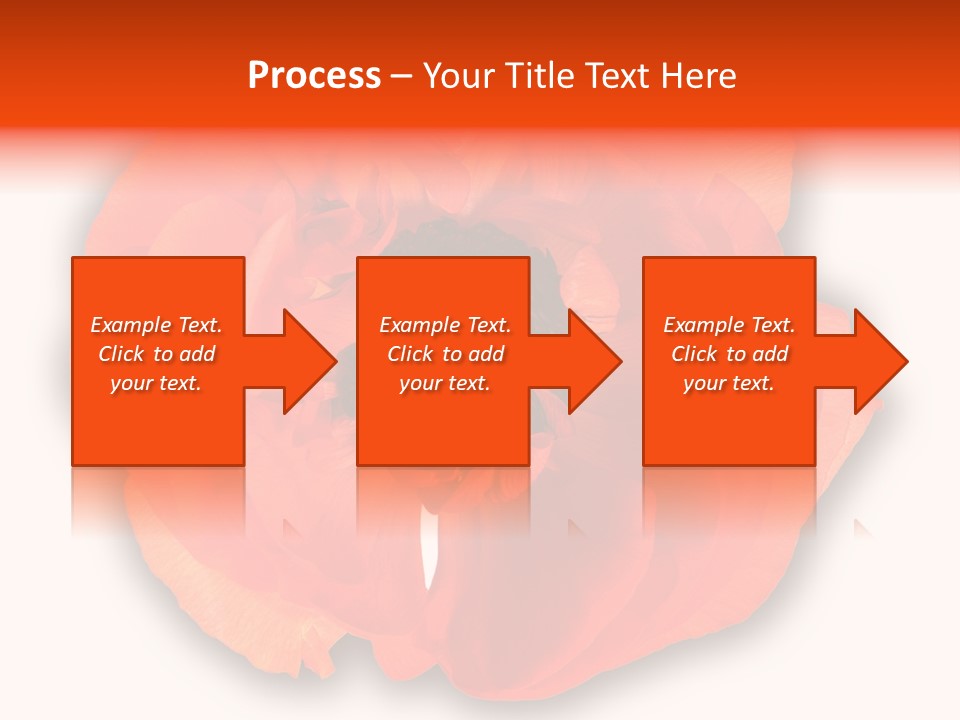 A Large Orange Flower With A White Background PowerPoint Template