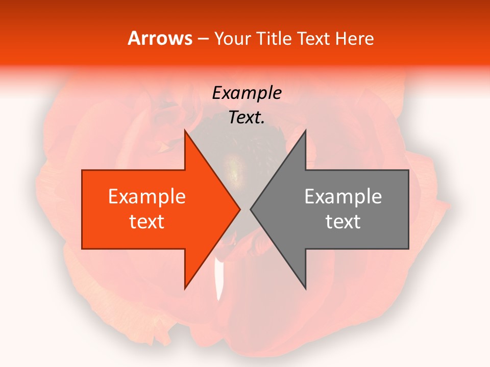 A Large Orange Flower With A White Background PowerPoint Template