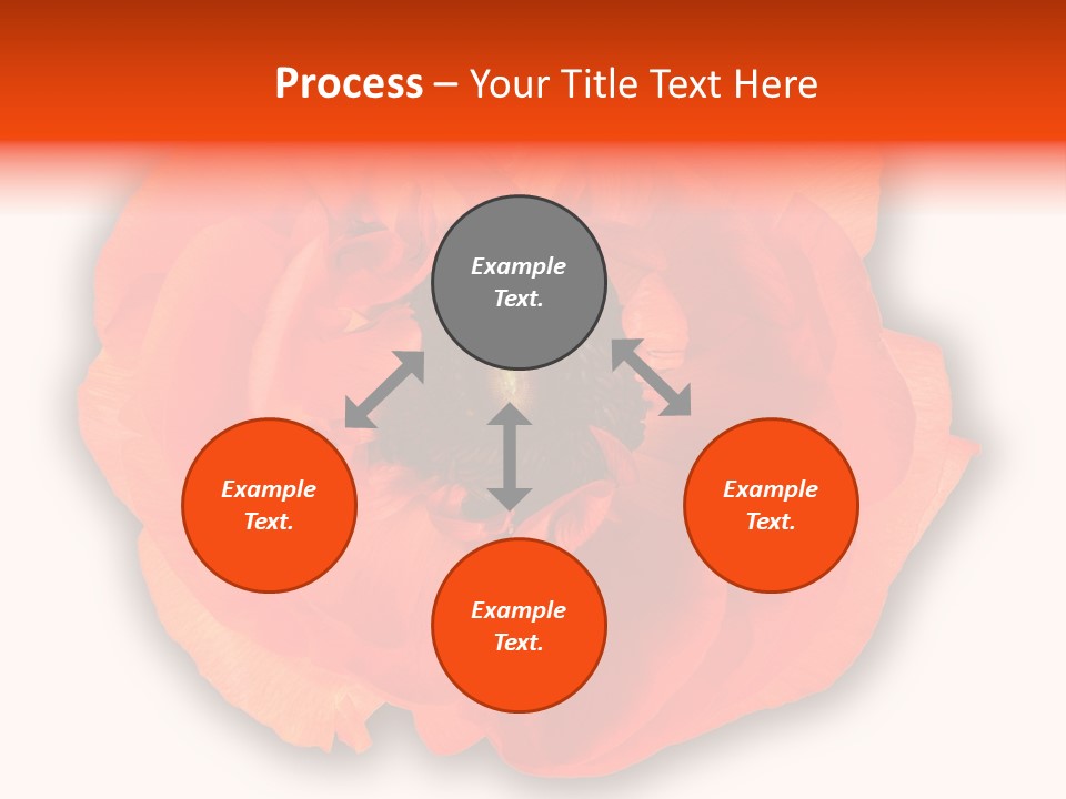 A Large Orange Flower With A White Background PowerPoint Template