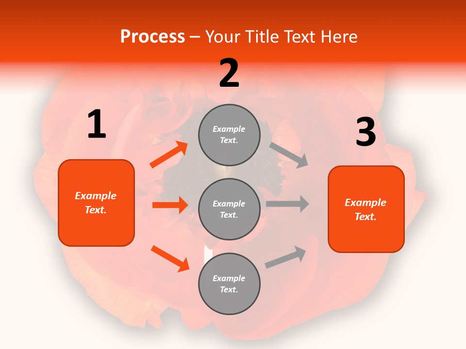 A Large Orange Flower With A White Background PowerPoint Template