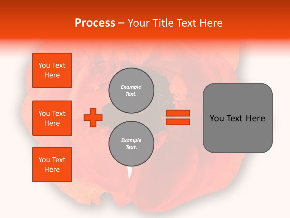 A Large Orange Flower With A White Background PowerPoint Template