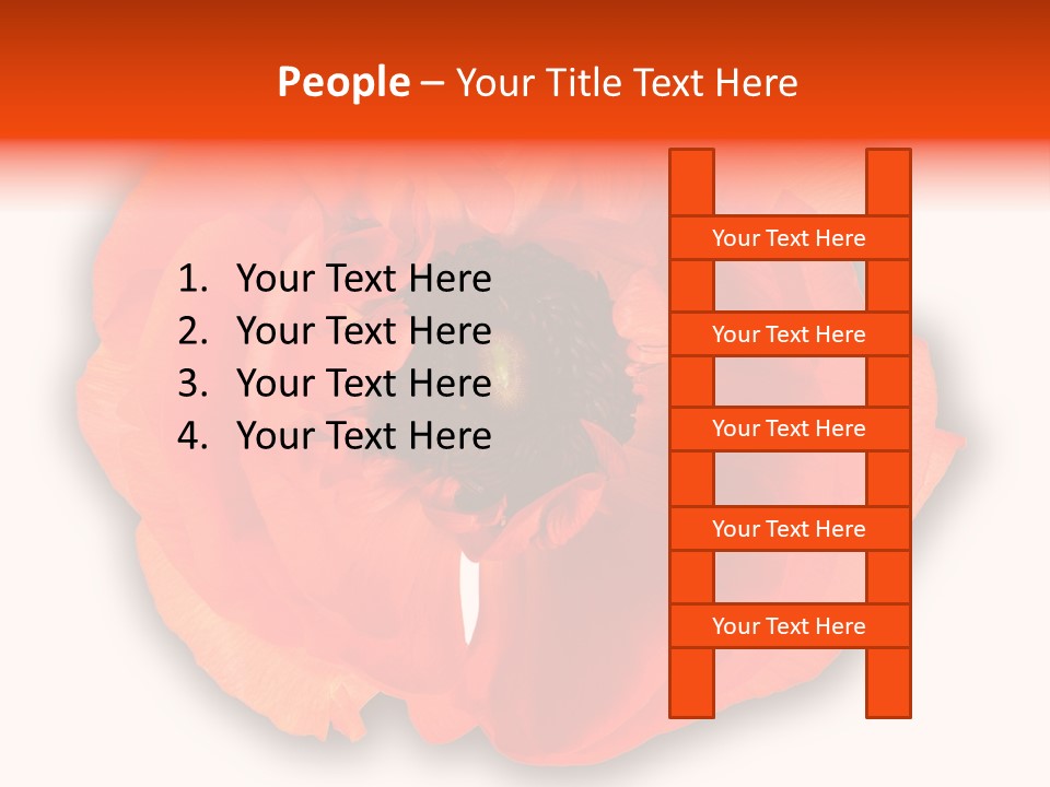 A Large Orange Flower With A White Background PowerPoint Template