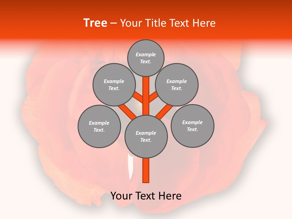 A Large Orange Flower With A White Background PowerPoint Template