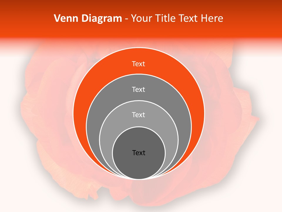 A Large Orange Flower With A White Background PowerPoint Template