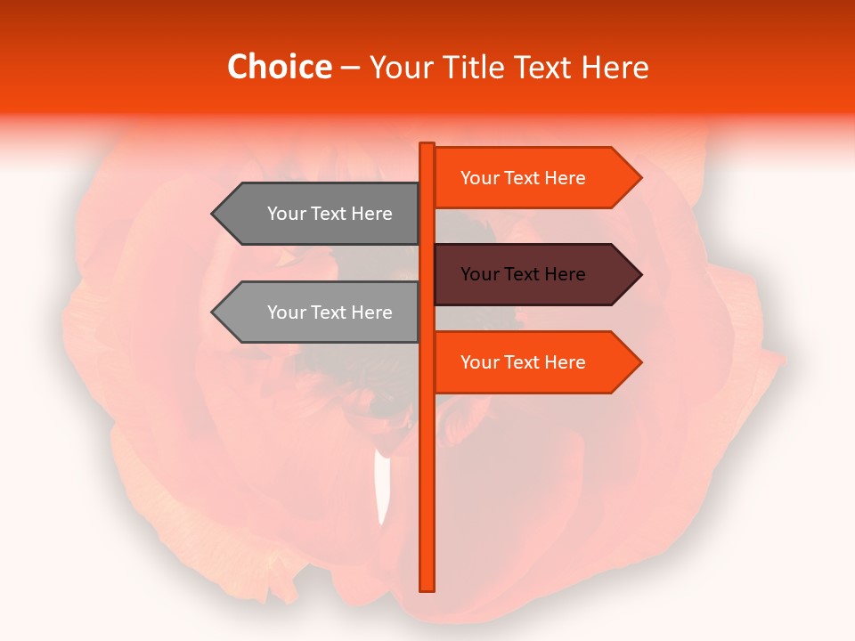 A Large Orange Flower With A White Background PowerPoint Template