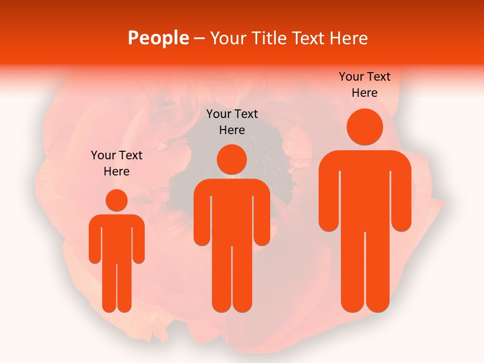 A Large Orange Flower With A White Background PowerPoint Template