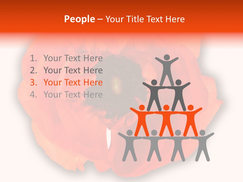 A Large Orange Flower With A White Background PowerPoint Template