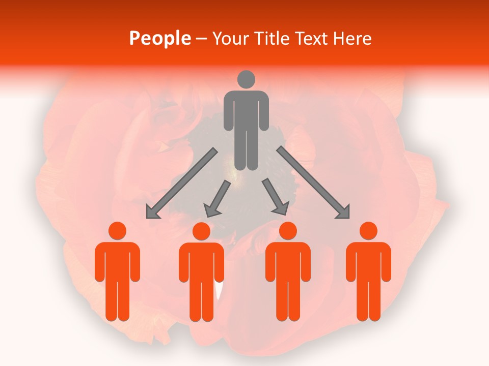 A Large Orange Flower With A White Background PowerPoint Template