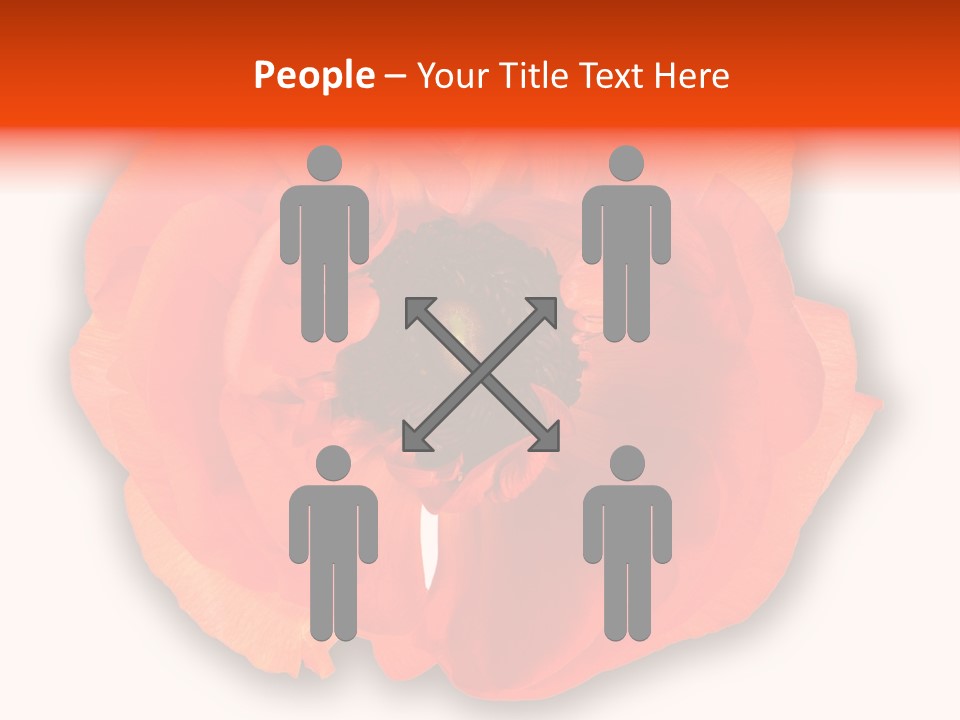 A Large Orange Flower With A White Background PowerPoint Template