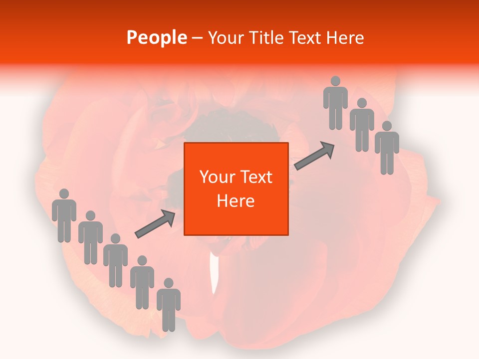 A Large Orange Flower With A White Background PowerPoint Template