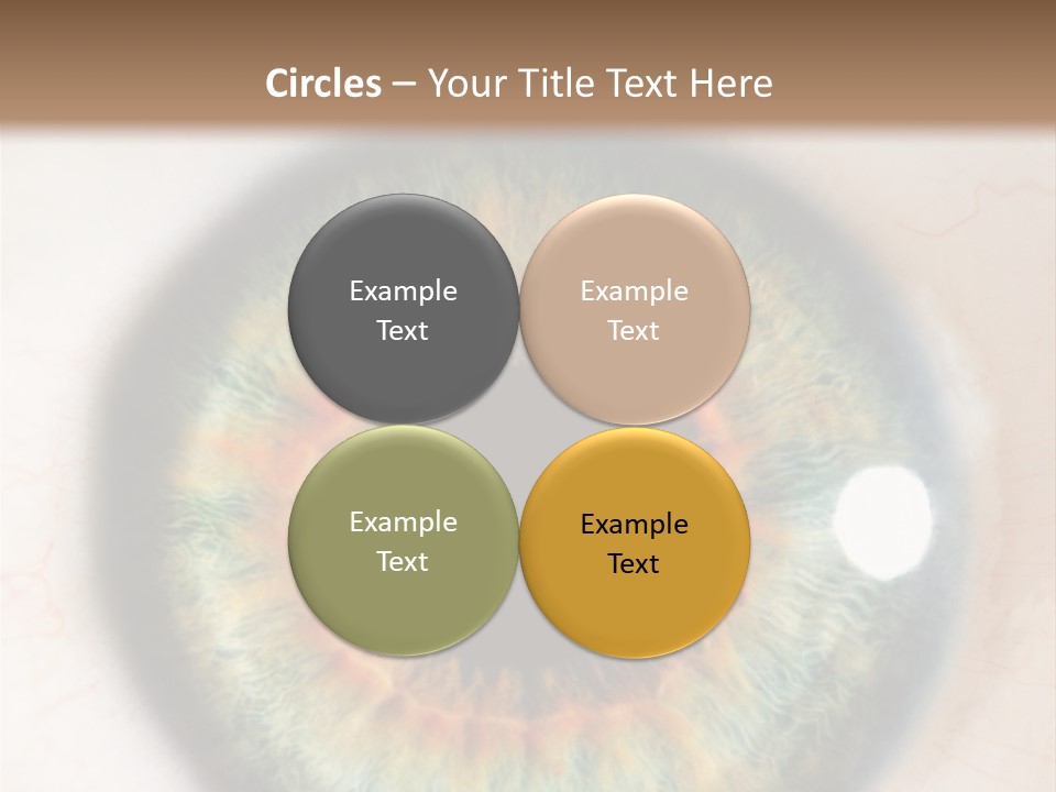 Sight Backdrops Closeup PowerPoint Template