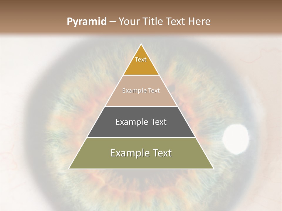 Sight Backdrops Closeup PowerPoint Template