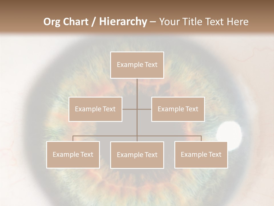 Sight Backdrops Closeup PowerPoint Template
