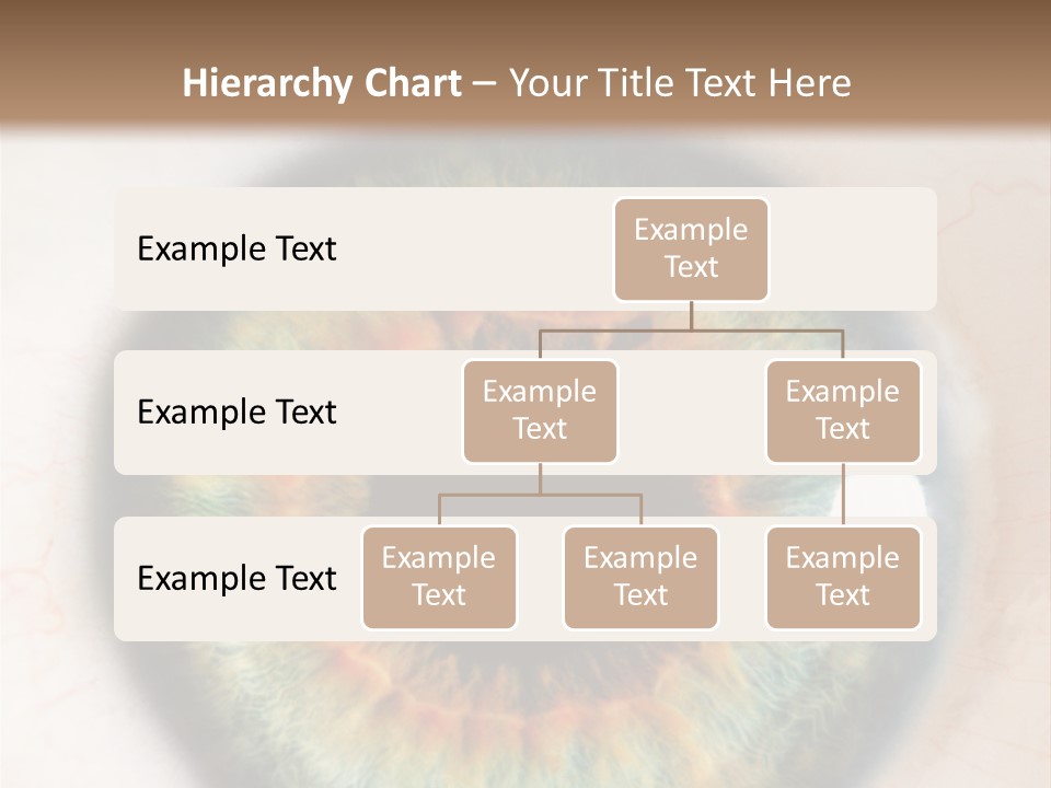 Sight Backdrops Closeup PowerPoint Template