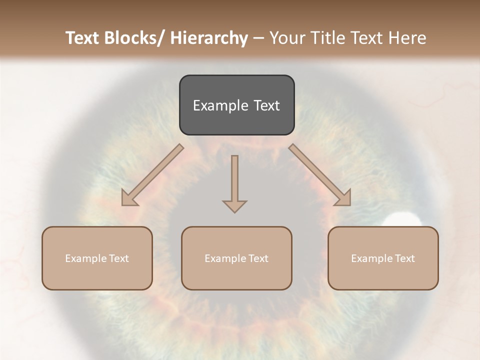 Sight Backdrops Closeup PowerPoint Template
