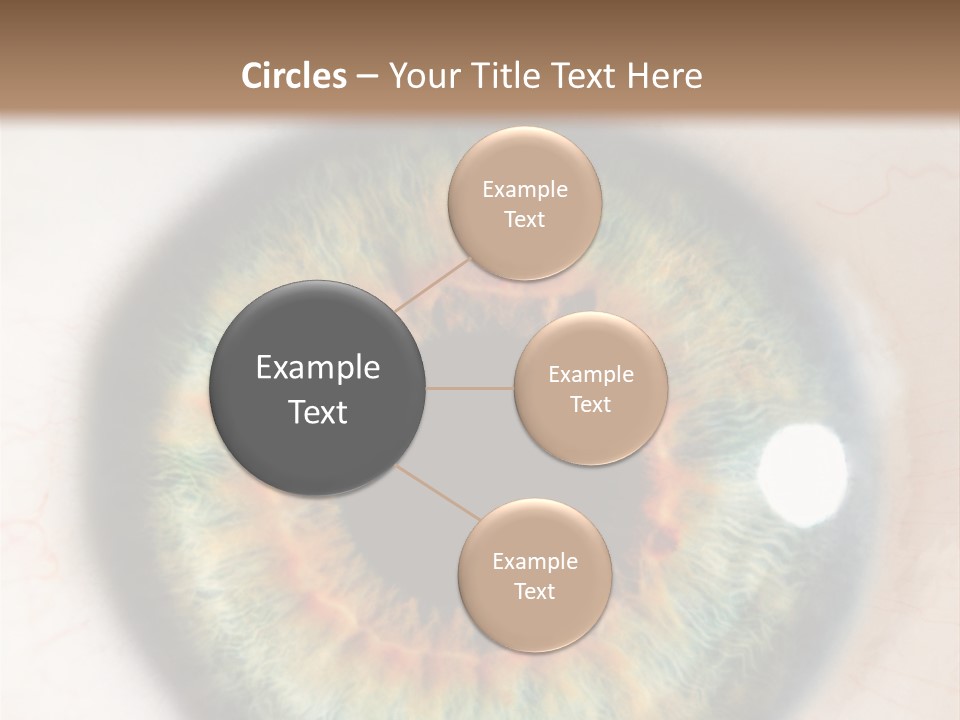 Sight Backdrops Closeup PowerPoint Template