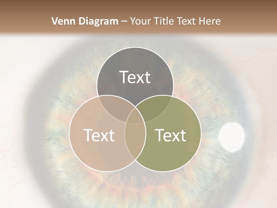 Sight Backdrops Closeup PowerPoint Template