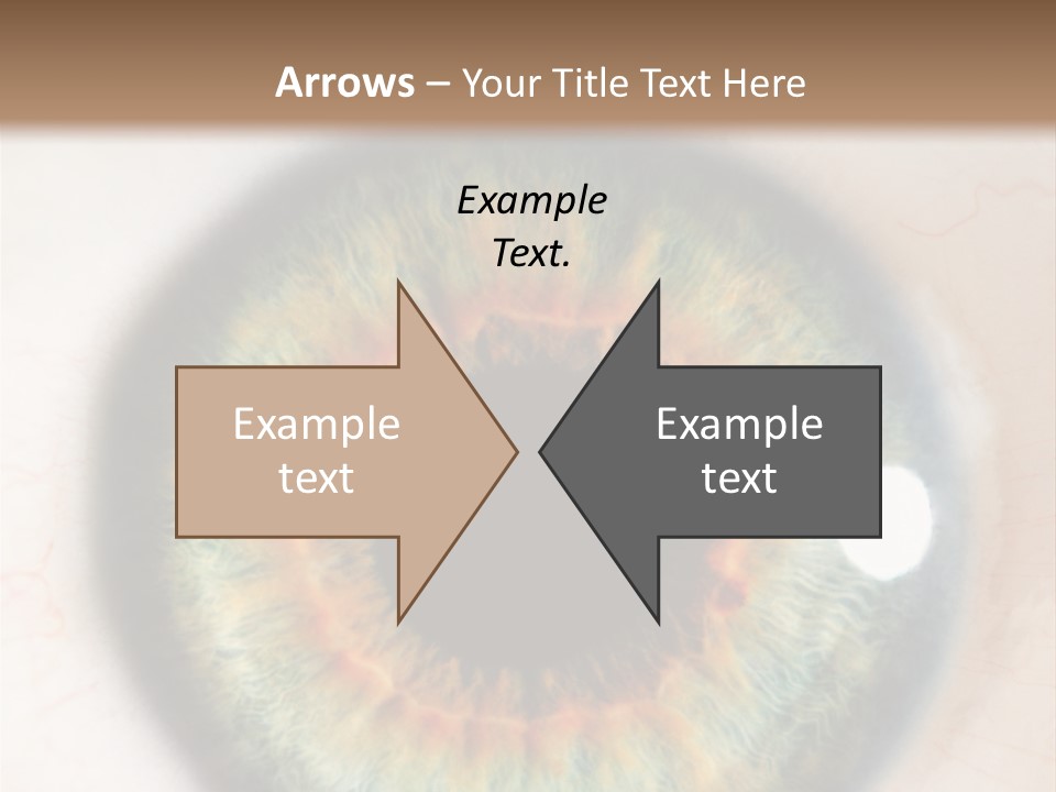 Sight Backdrops Closeup PowerPoint Template