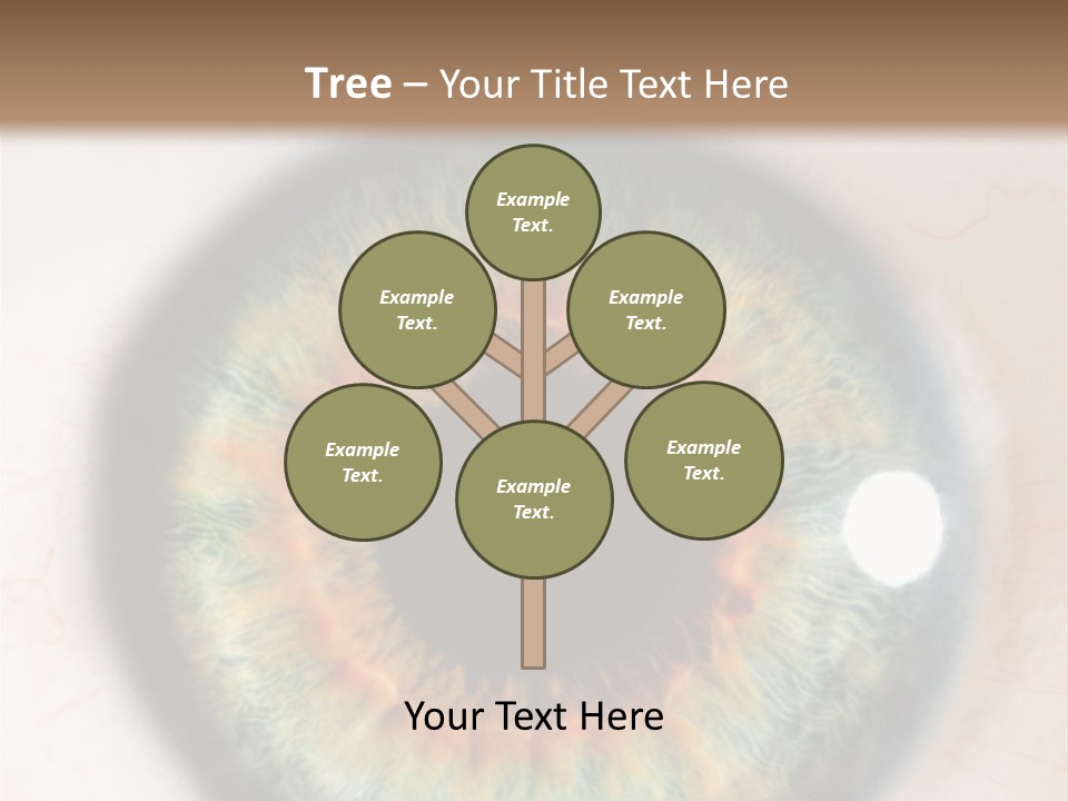 Sight Backdrops Closeup PowerPoint Template