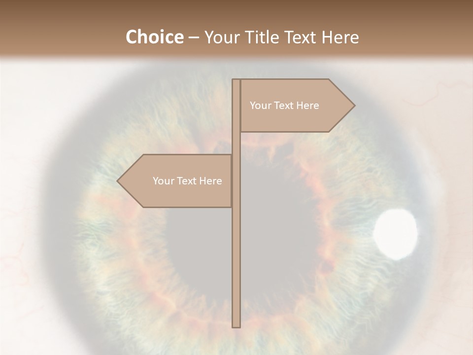 Sight Backdrops Closeup PowerPoint Template