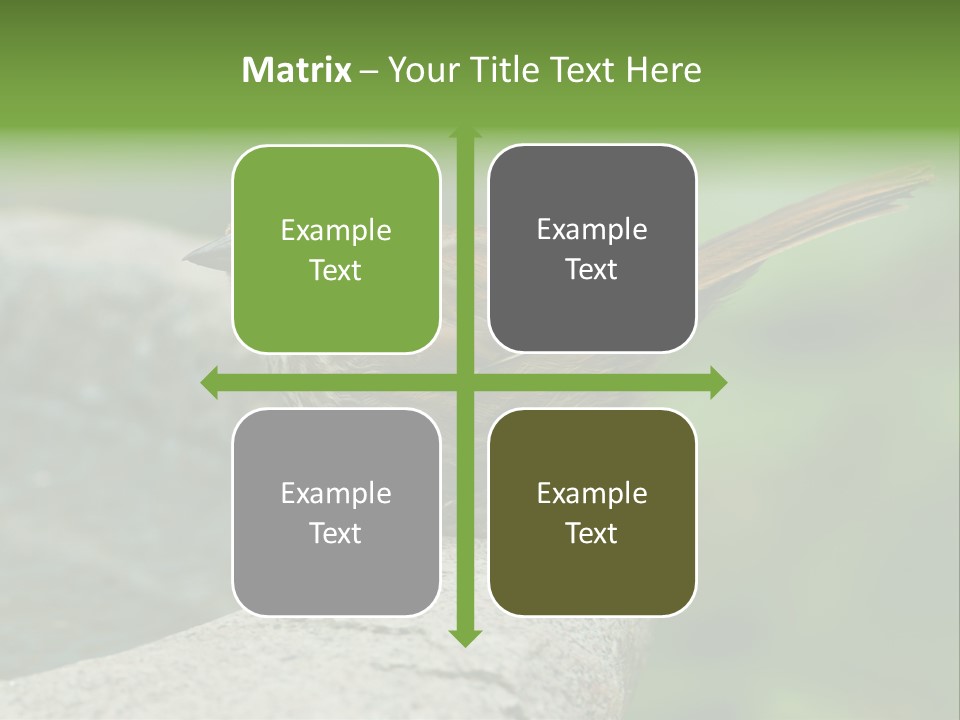 Song Sparrow Wild Western PowerPoint Template