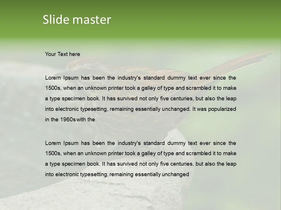 Song Sparrow Wild Western PowerPoint Template