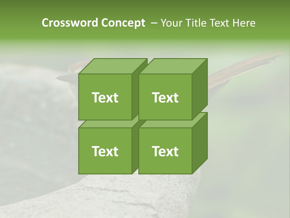Song Sparrow Wild Western PowerPoint Template