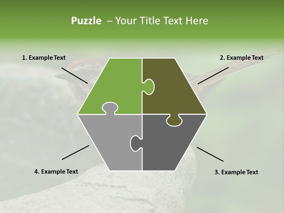 Song Sparrow Wild Western PowerPoint Template