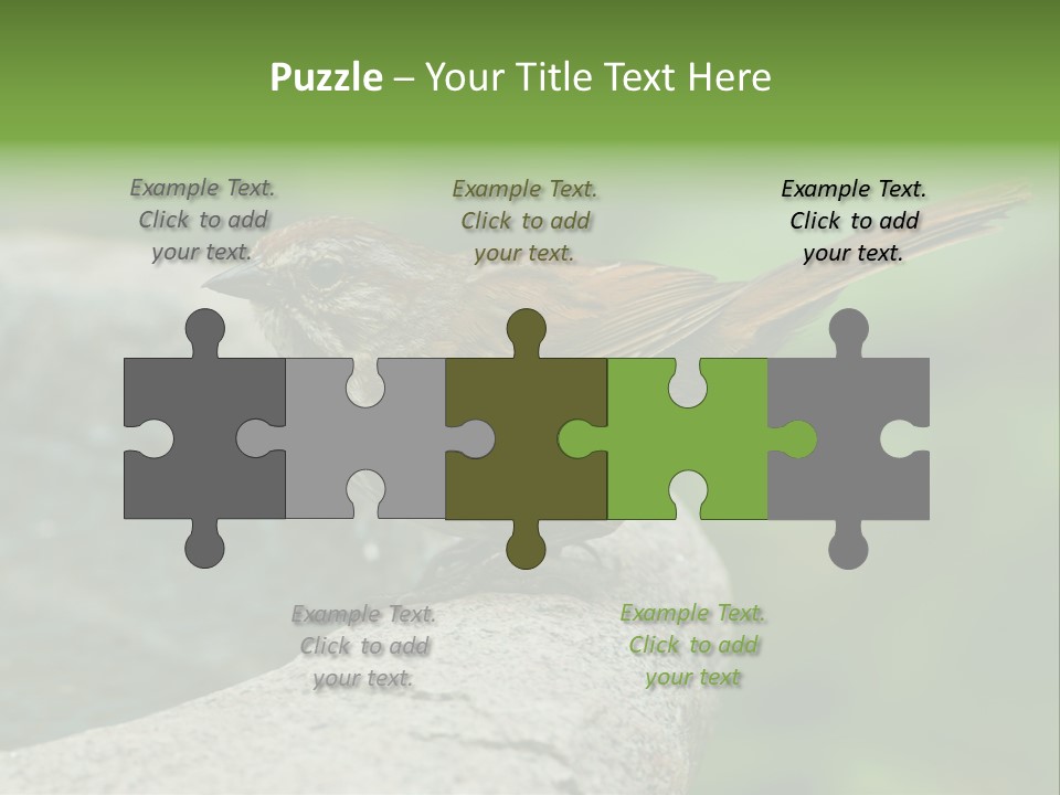 Song Sparrow Wild Western PowerPoint Template