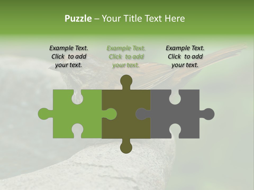 Song Sparrow Wild Western PowerPoint Template