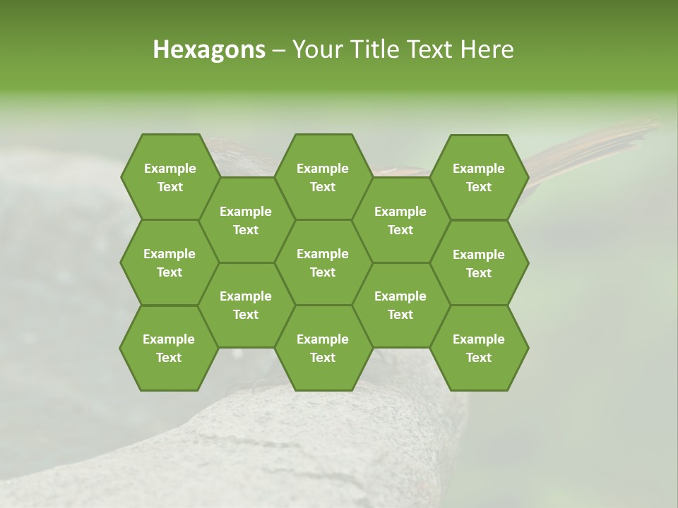 Song Sparrow Wild Western PowerPoint Template