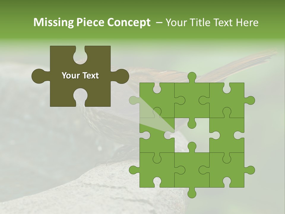 Song Sparrow Wild Western PowerPoint Template