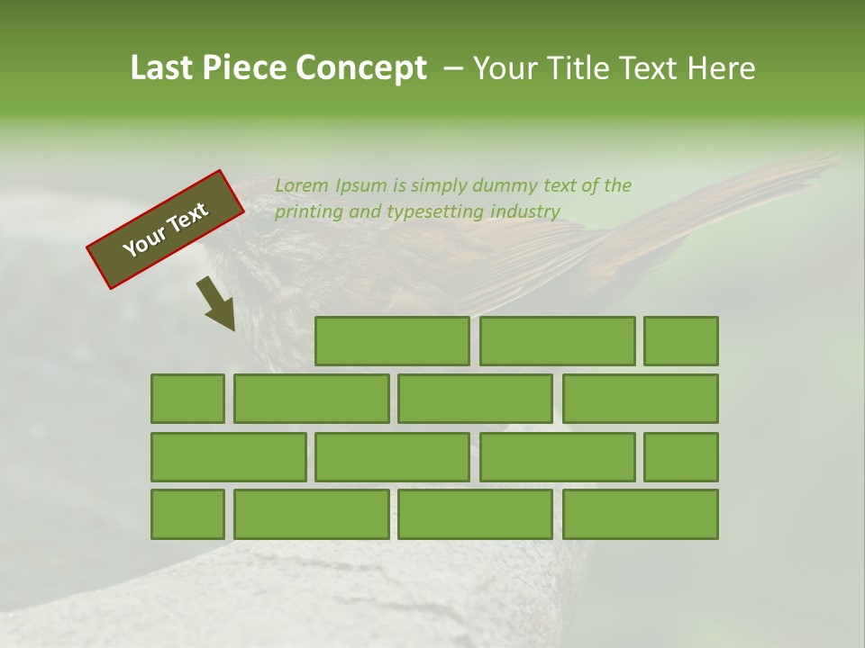 Song Sparrow Wild Western PowerPoint Template