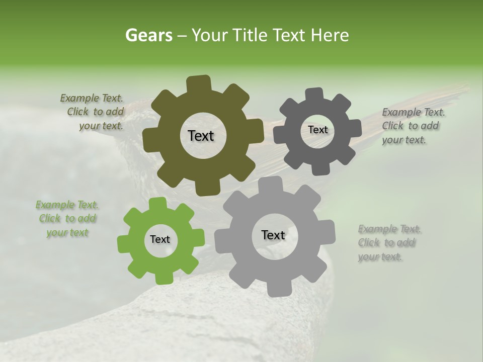 Song Sparrow Wild Western PowerPoint Template