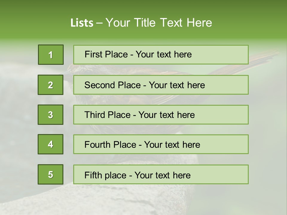 Song Sparrow Wild Western PowerPoint Template